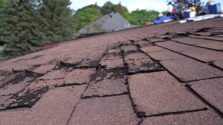 Best Gutter Installation and Repair  in Riverdale Park, CA