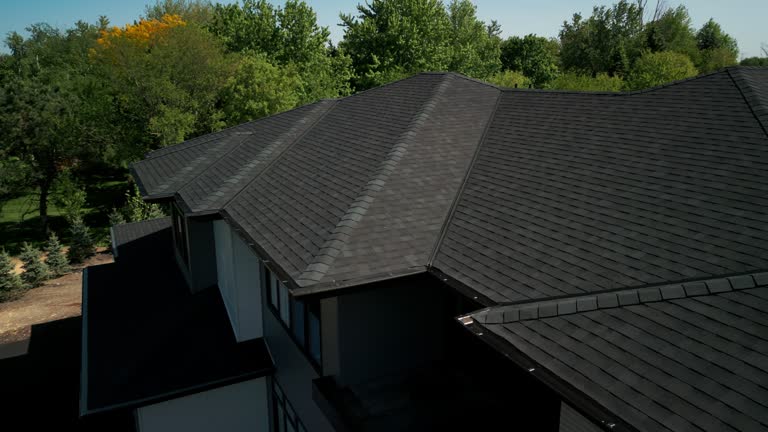 Best Sheet Metal Roofing  in Riverdale Park, CA