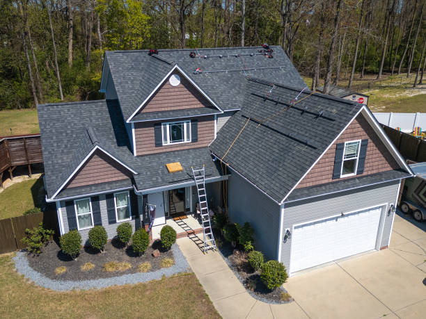 Best Roof Moss and Algae Removal  in Riverdale Park, CA